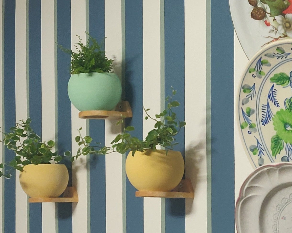 Maceta Esférica con soporte pared