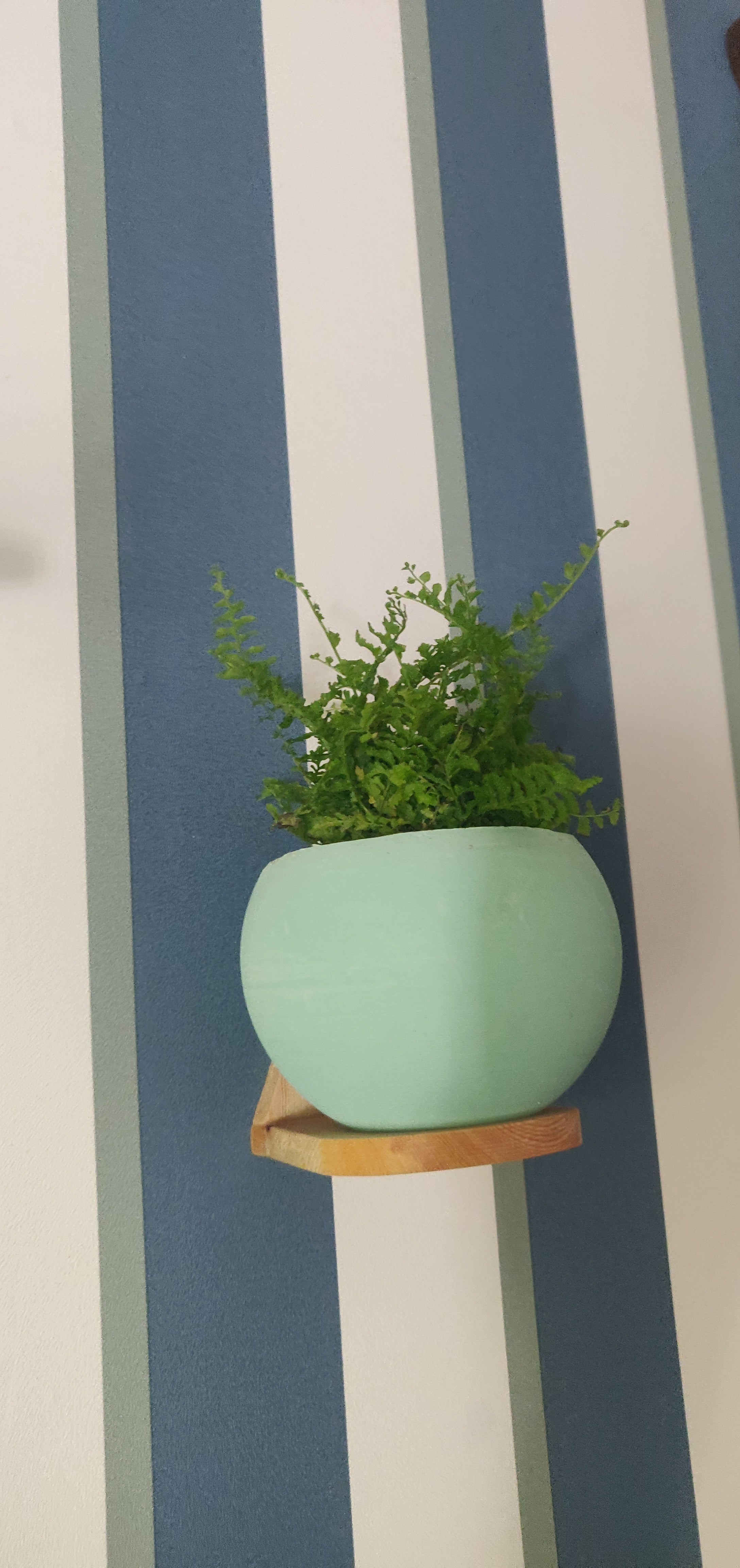 Maceta Esférica con soporte pared