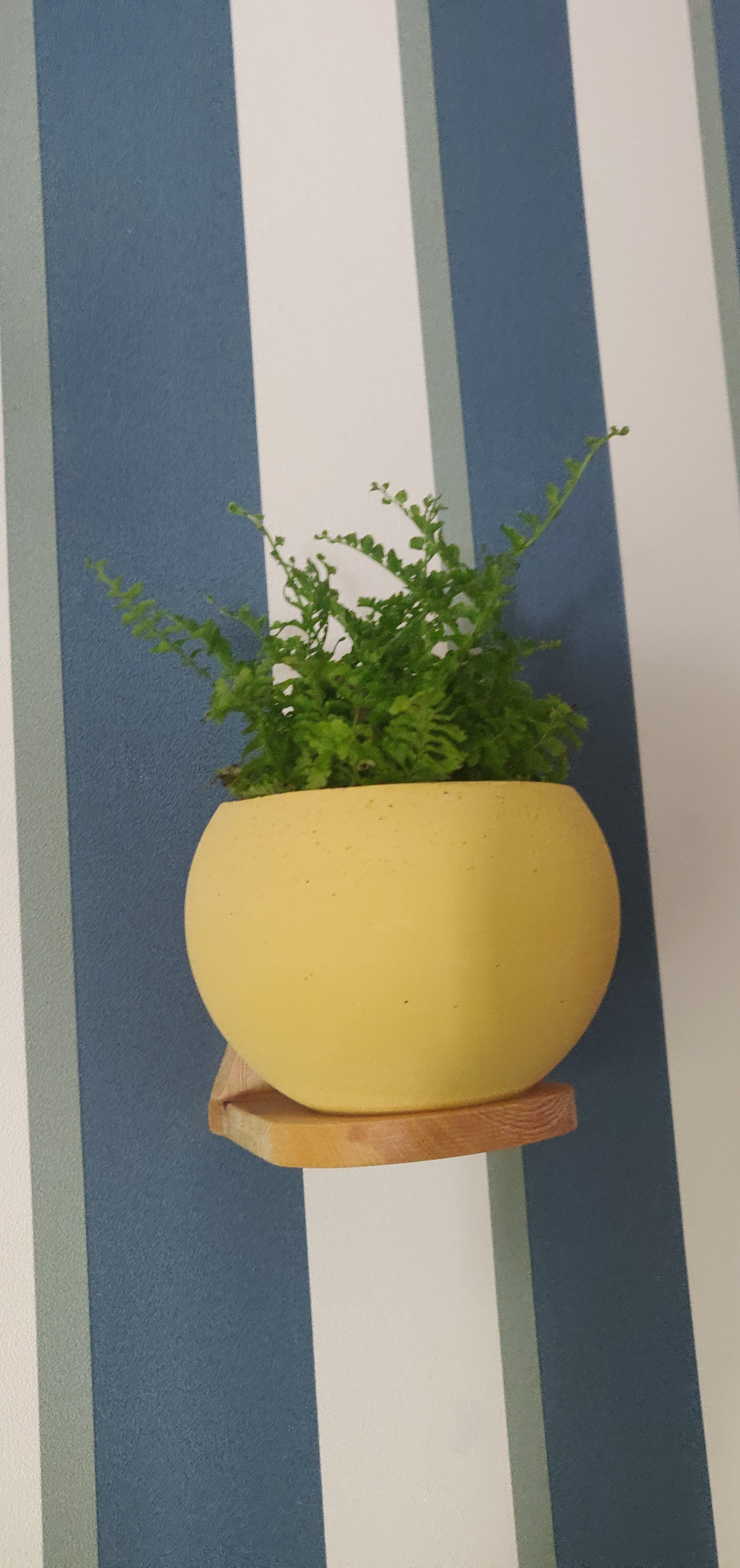 Maceta Esférica con soporte pared